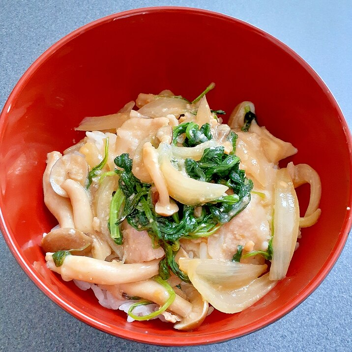 ☆休日のお昼は…「野菜と一緒に♪豚みそ丼」